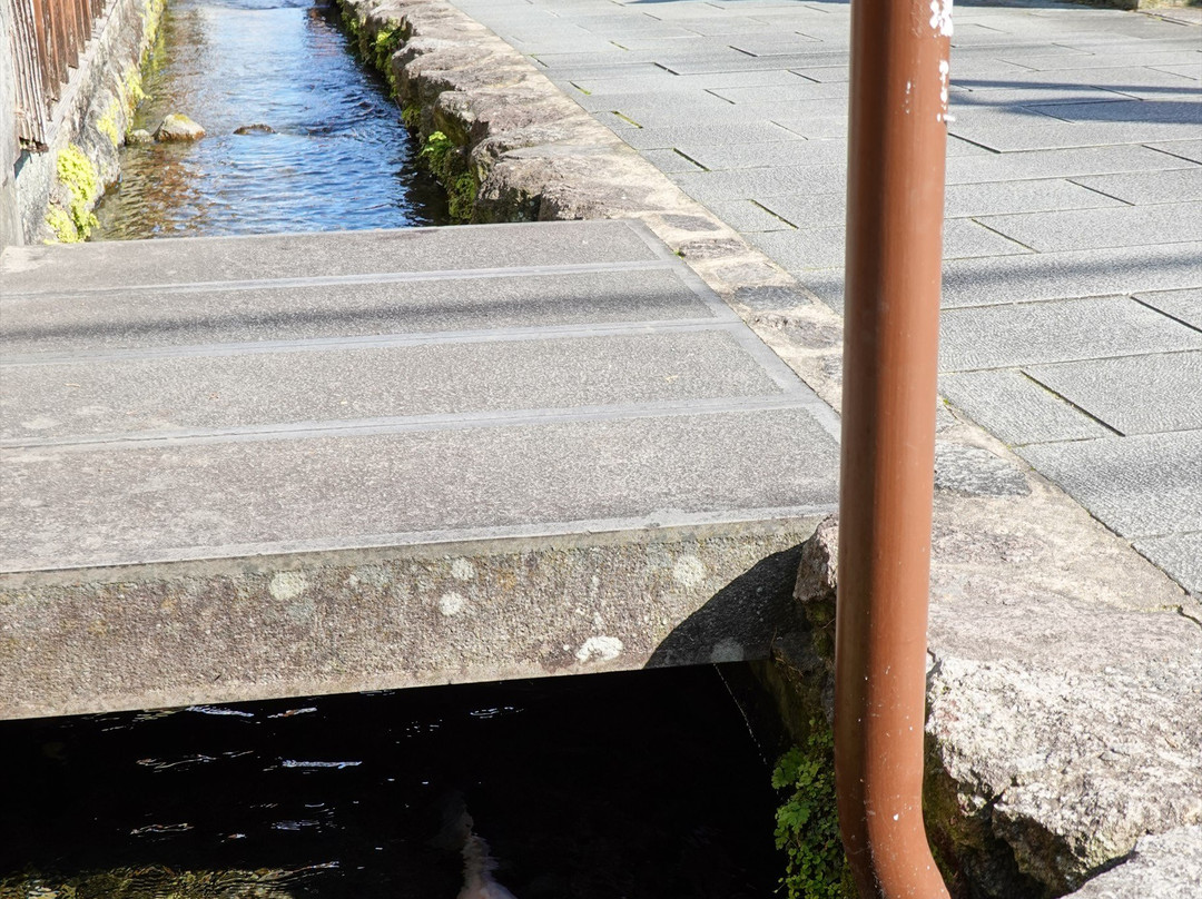 The Town of Swimming Carp-岛原市必去景点