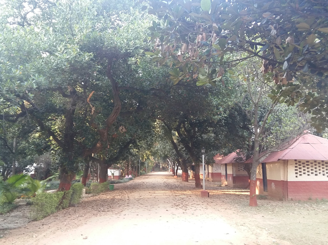 Yogoda Satsanga Society of India - Ranchi Ashram景点图片