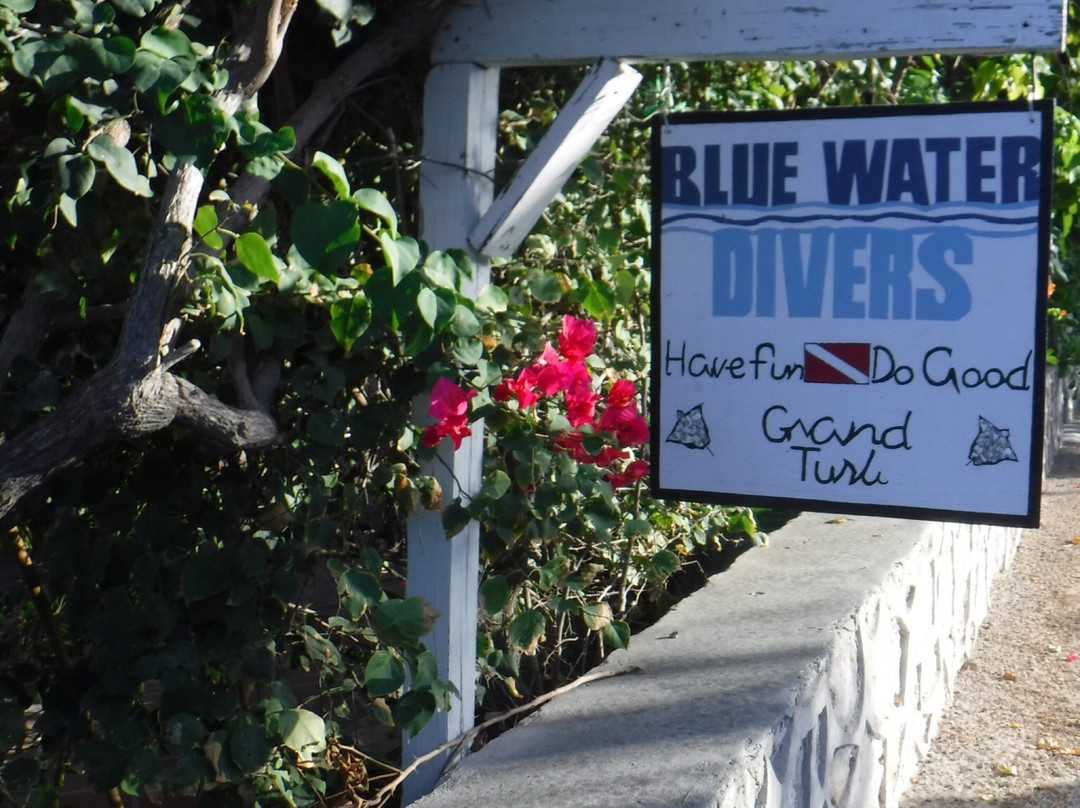 Blue Water Divers景点图片