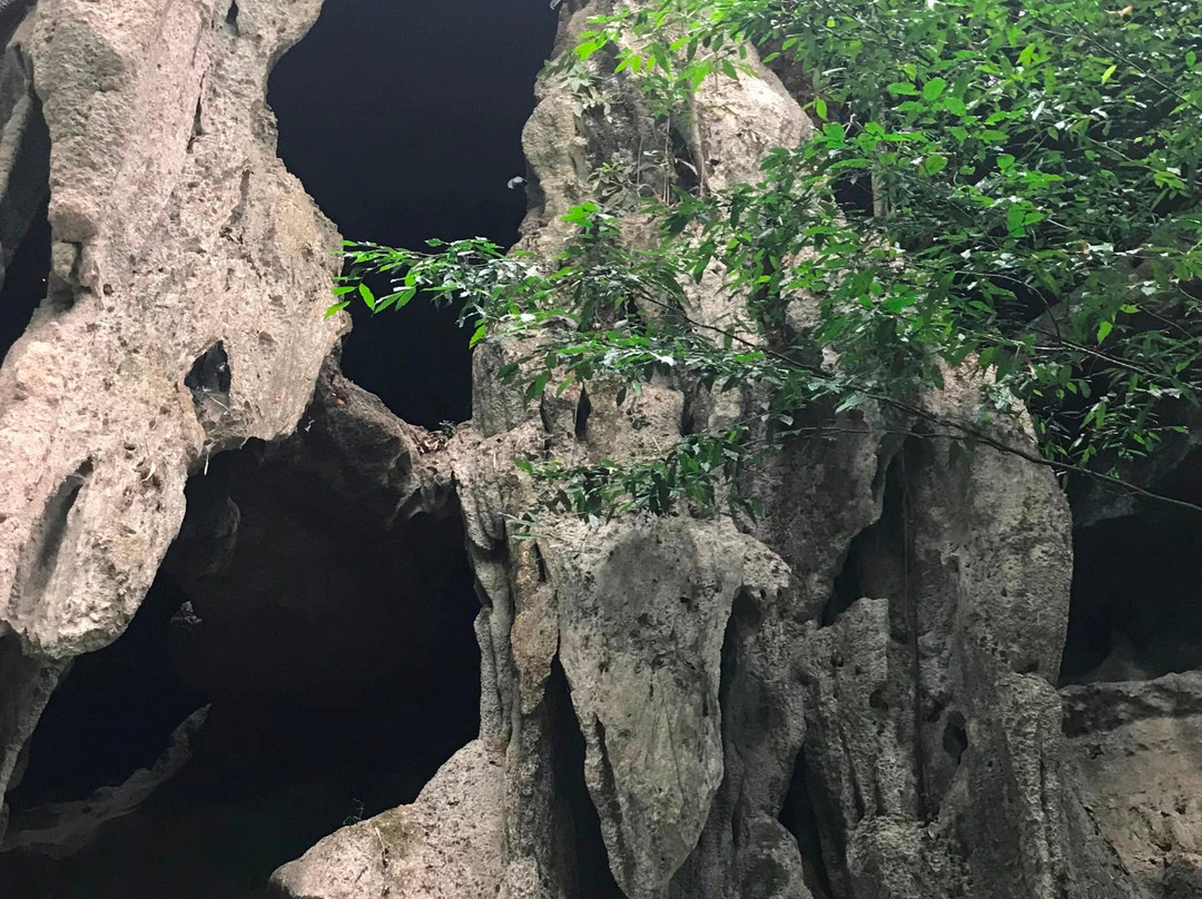 Sa Nang Manora Forest Park景点图片