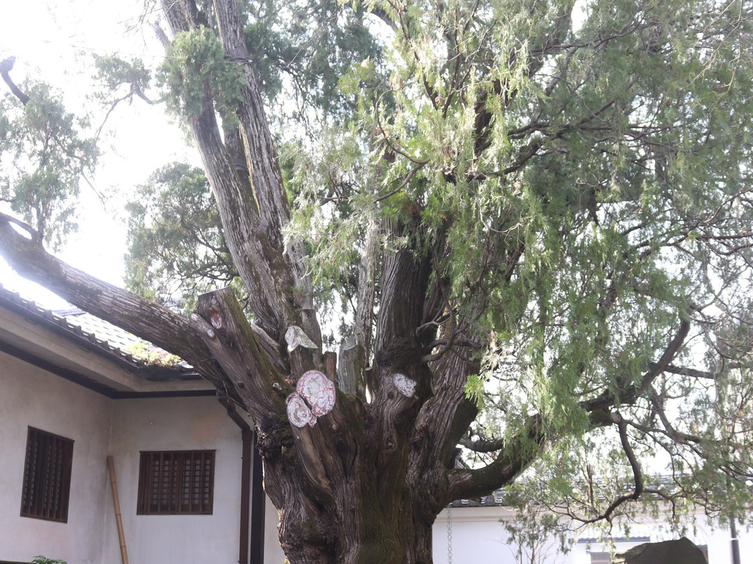Shoo-ji Temple-国分寺市必去景点