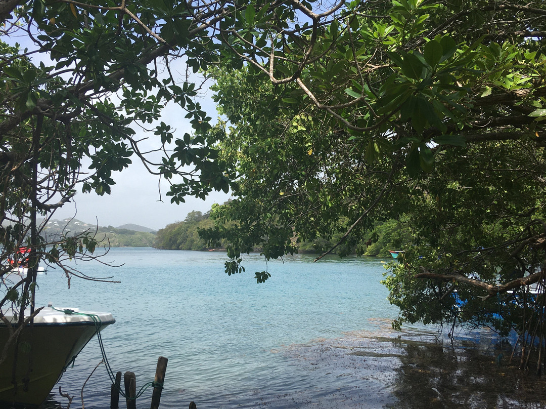 thea-excursion-Le Francois必去景点