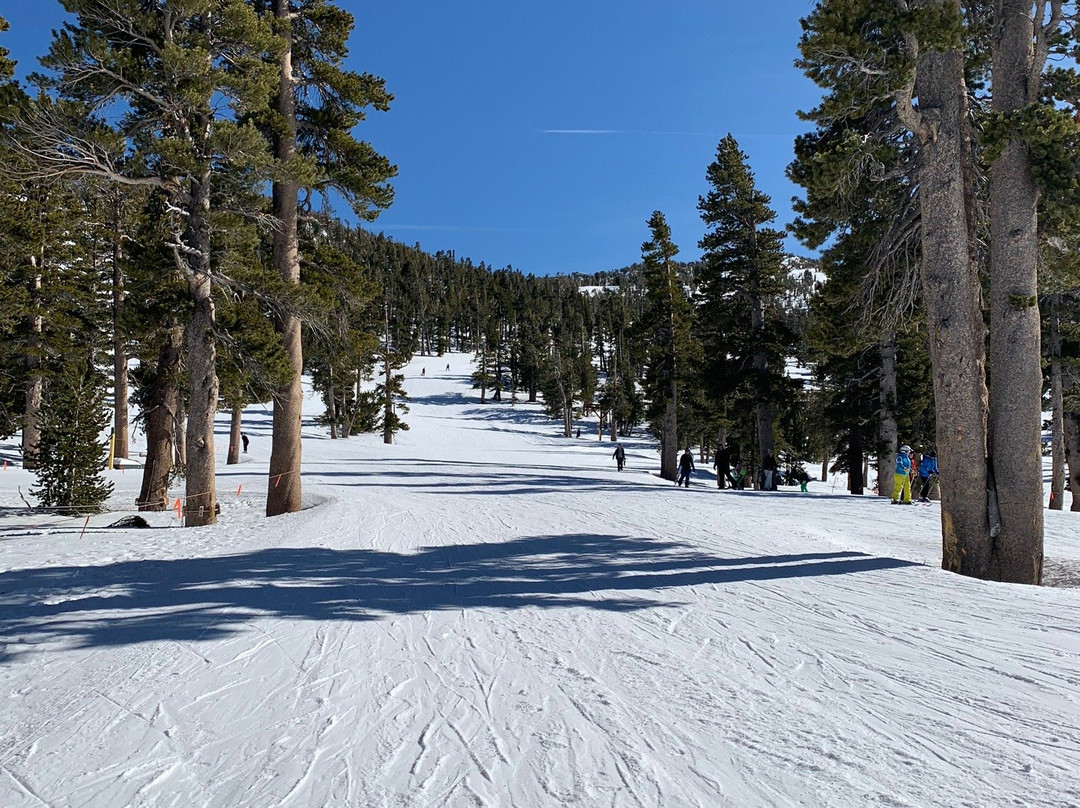 Sierra at Tahoe景点图片