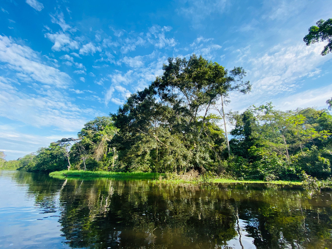 Amazon Jungle Trips景点图片