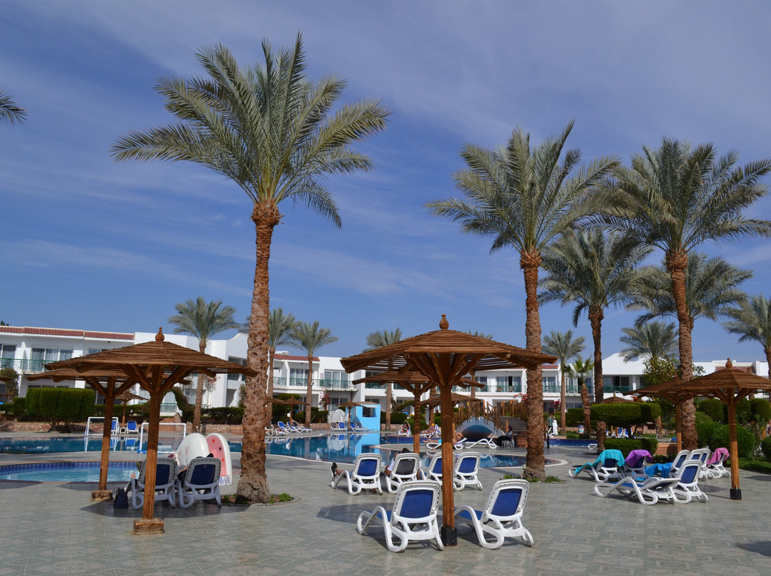 Panorama Naama Heights主图