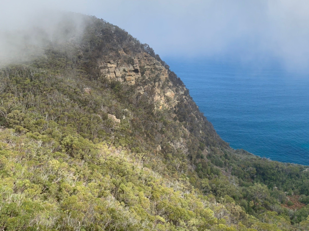 Shipstern Bluff-亚瑟港必去景点