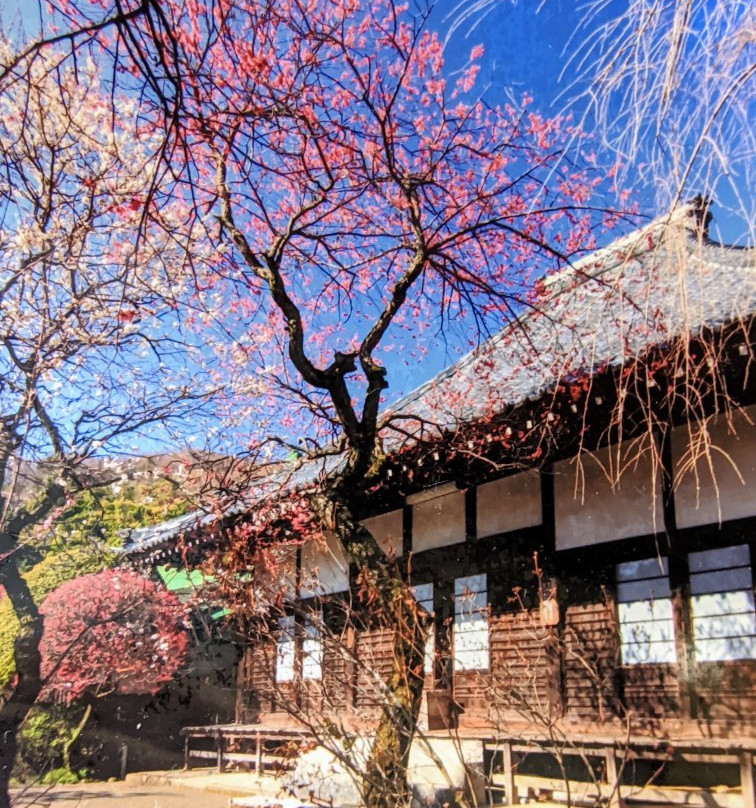 Myokaku-ji-稻城市必去景点