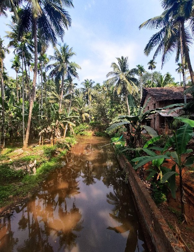 Sahyadri Spice Farm-巴德士必去景点