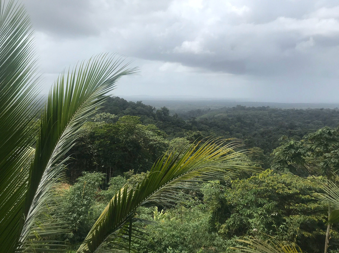 Restaurant de la BelleVue