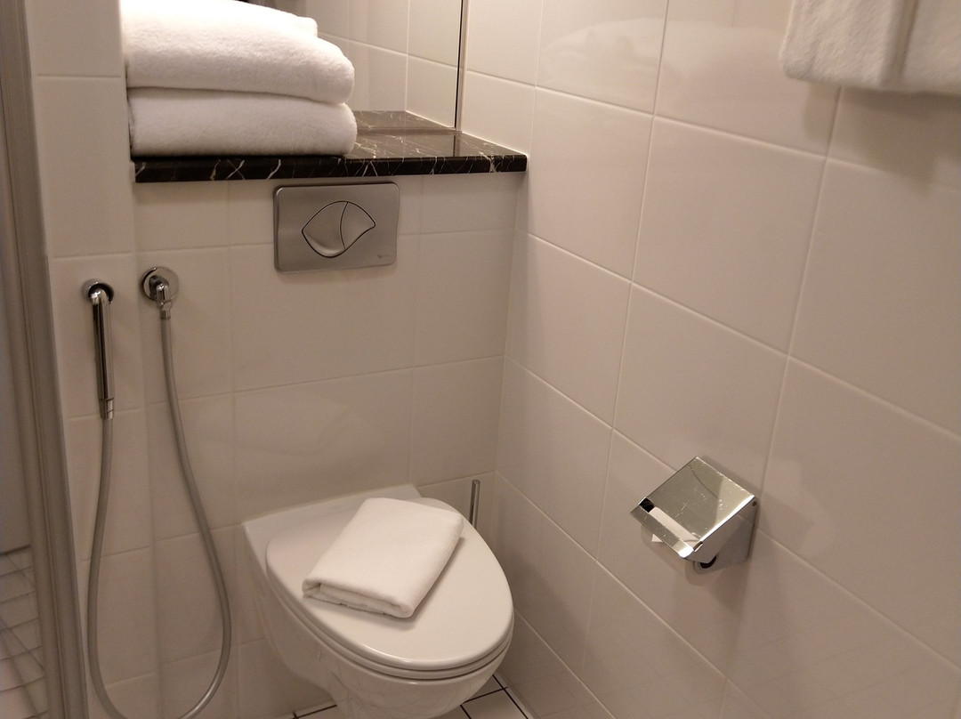 Radisson Blu Marina Palace Hotel, Turku主图