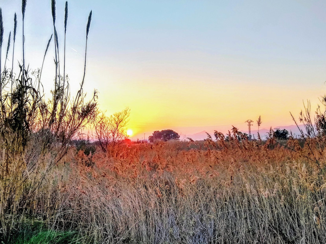 Moncofa旅游攻略图片