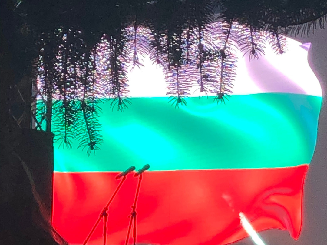 Singing Fountains-普罗夫迪夫必去景点