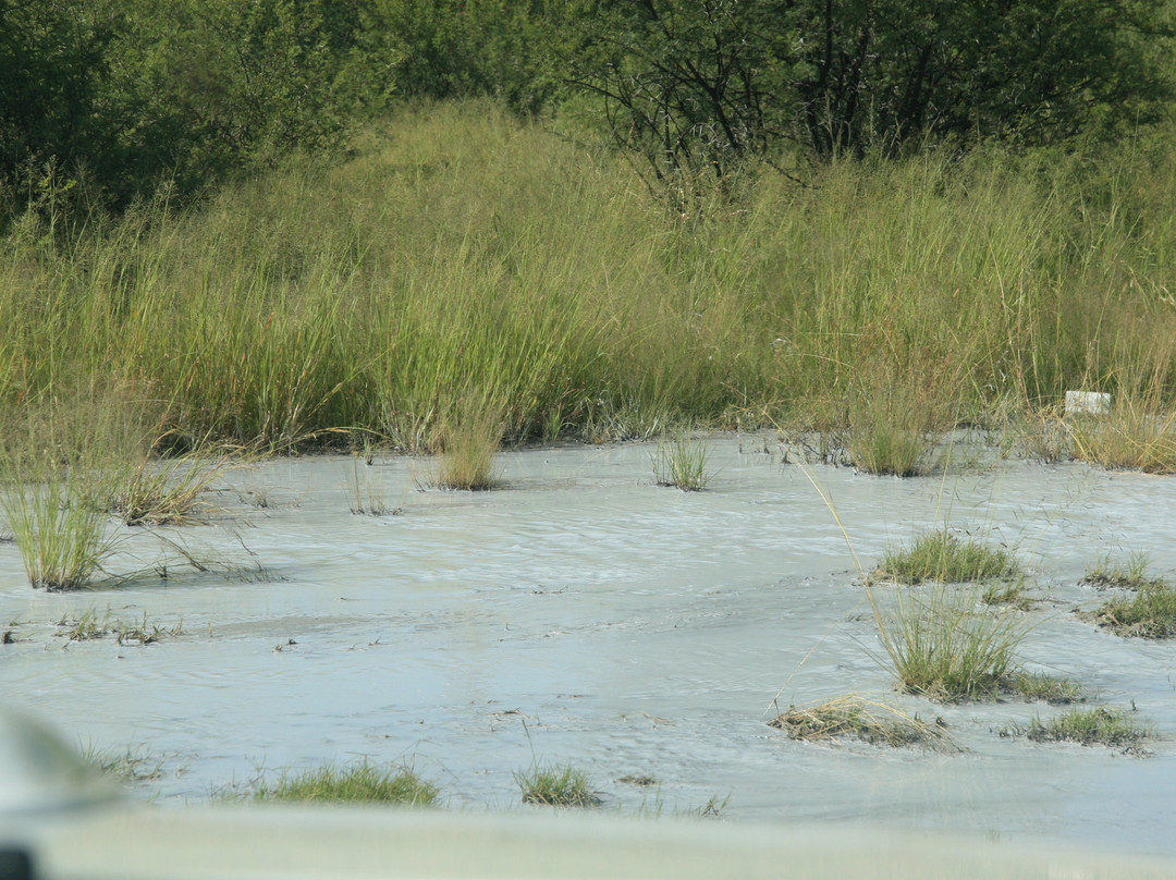 Boer War Concentration Camp Cemetery-Kroonstad必去景点