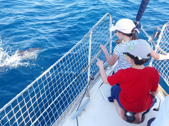 Ionian Sea Service-塔兰托必去景点