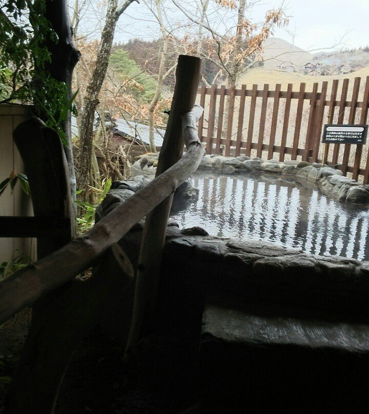 疗愈之里 树屋主图