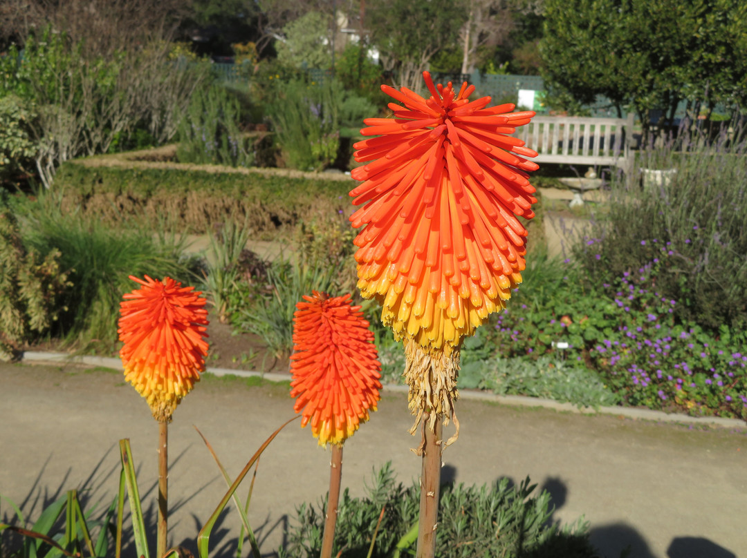 Elizabeth F. Gamble Garden-帕罗奥多必去景点