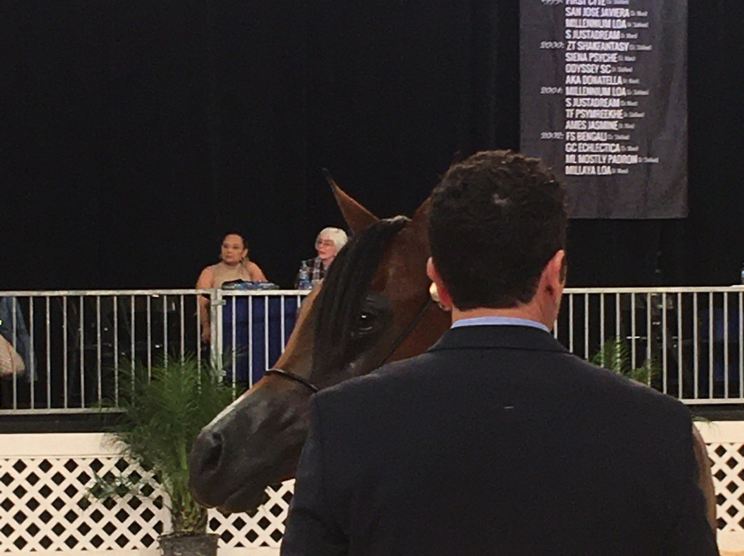 WestWorld of Scottsdale-斯科茨代尔必去景点