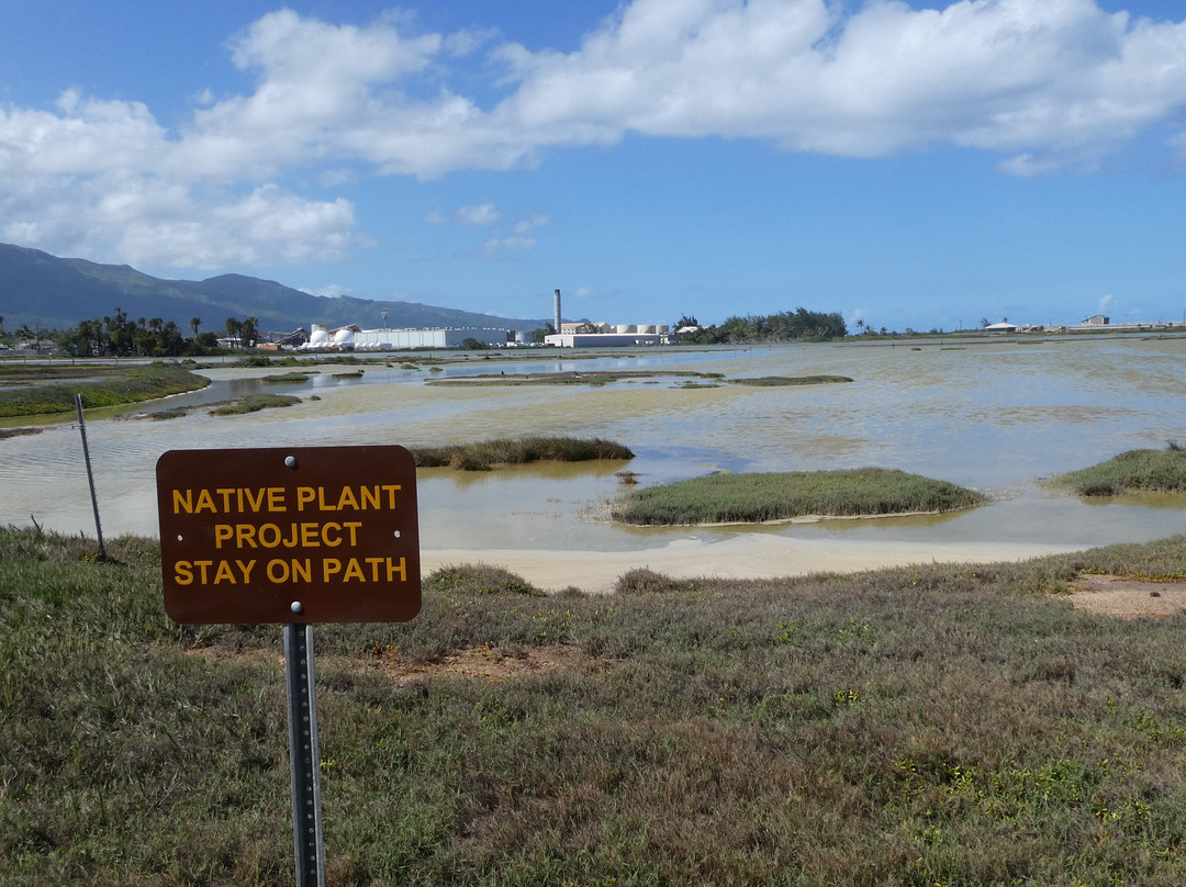 Kanaha Pond State Wildlife Sanctuary景点图片