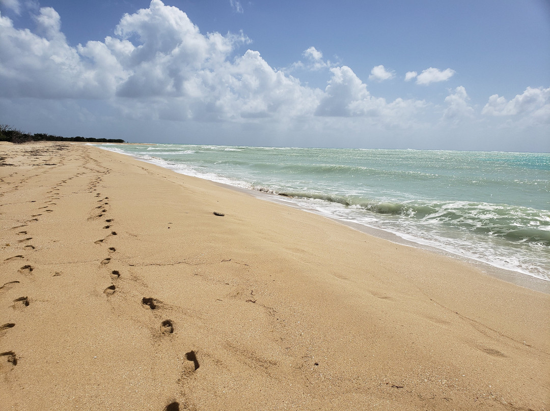 Sandy Point Beach And National Wildlife Refuge-圣克鲁斯必去景点