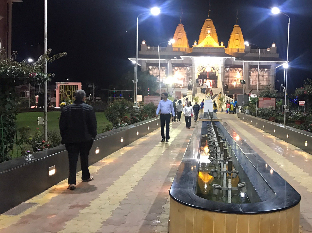 Shree Narayani Dham Temple景点图片