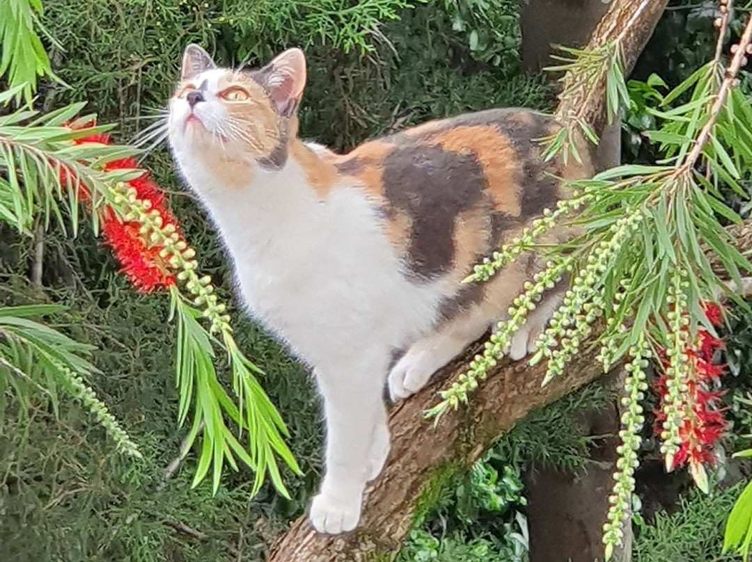 Aloepark Hotel主图