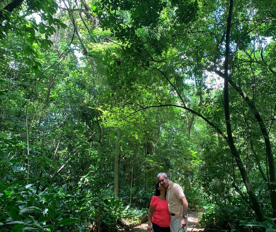 Alfredo Volpi Park-圣保罗必去景点