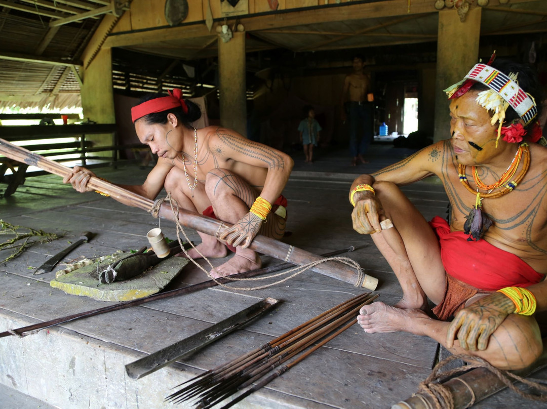 Siberut National Park景点图片