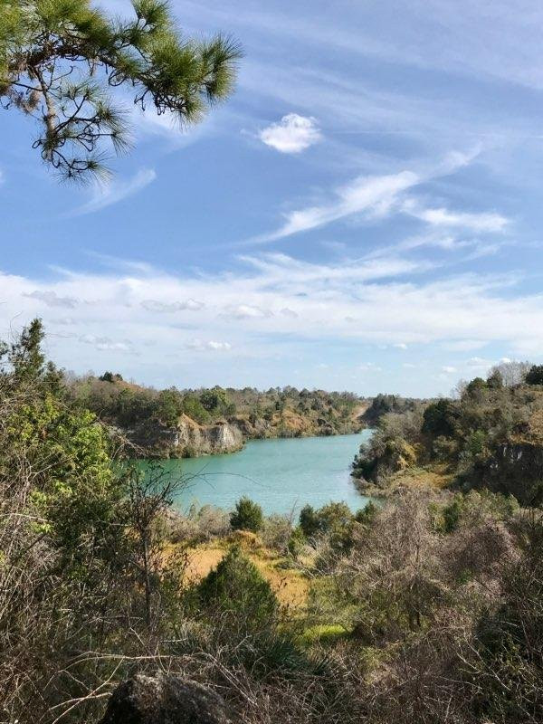 Canyons Zip Line & Canopy Tours-奥卡拉必去景点