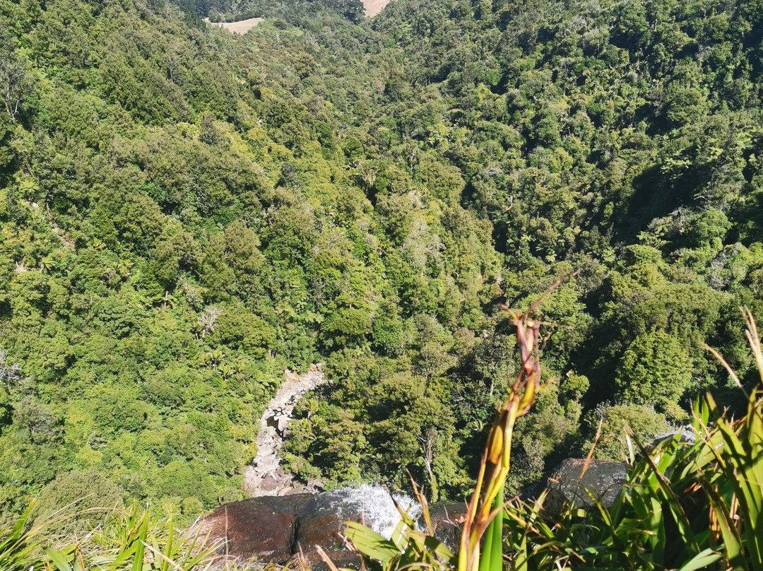 Wairere Falls Track-Okauia必去景点