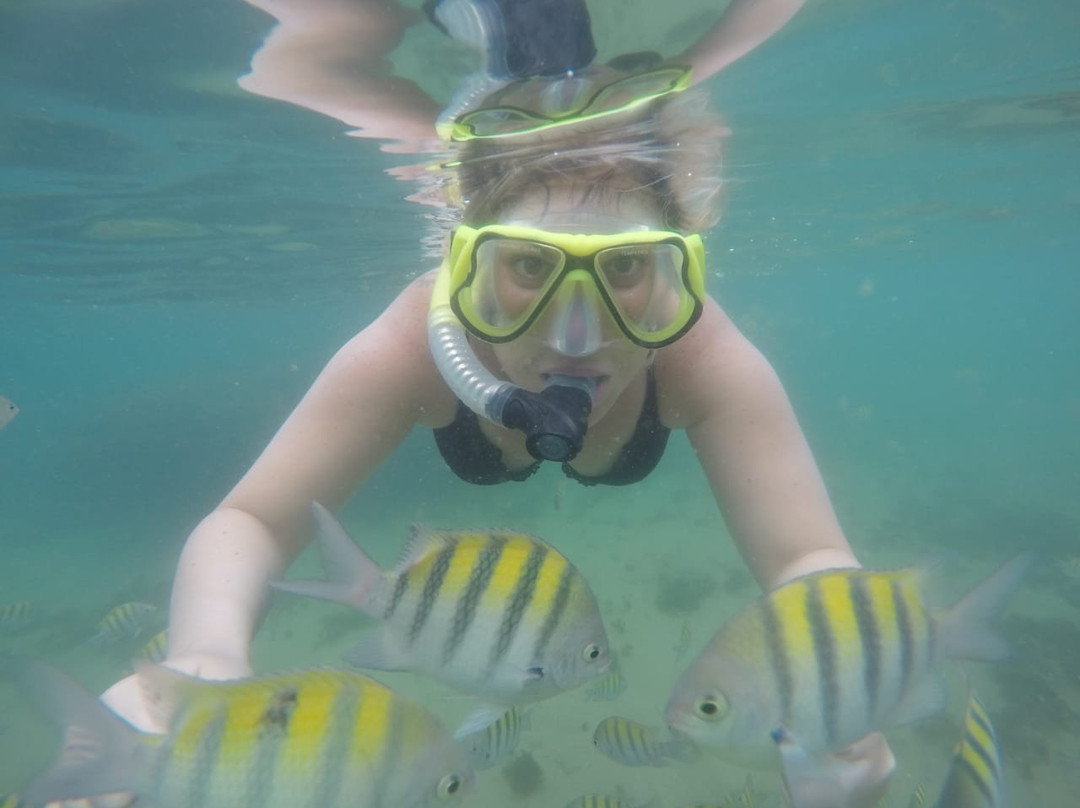 Emytour-普拉亚多海滩必去景点