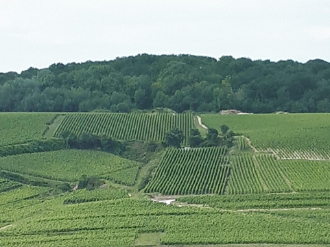 In Vox Veritas-兰斯必去景点