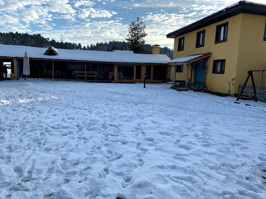 Iksir Resort Town主图