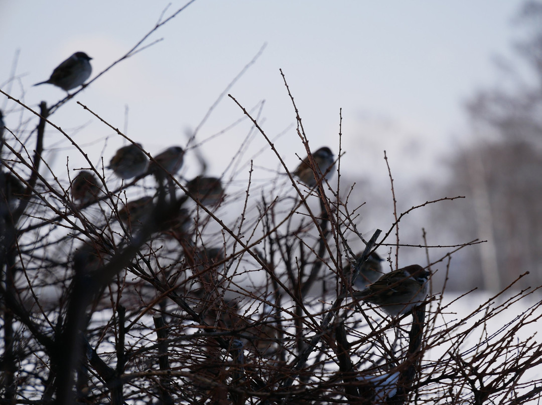 Kayanuma Station-标茶町必去景点