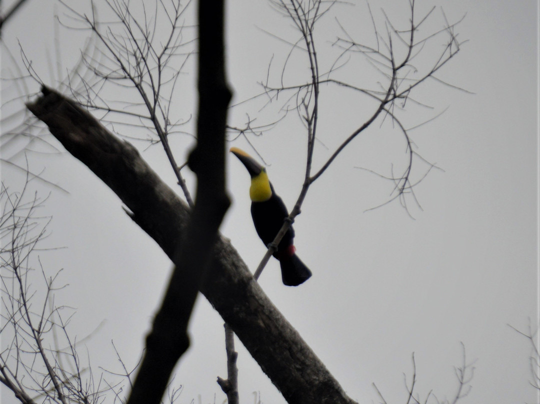 Pacific Edge Eco Lodge主图