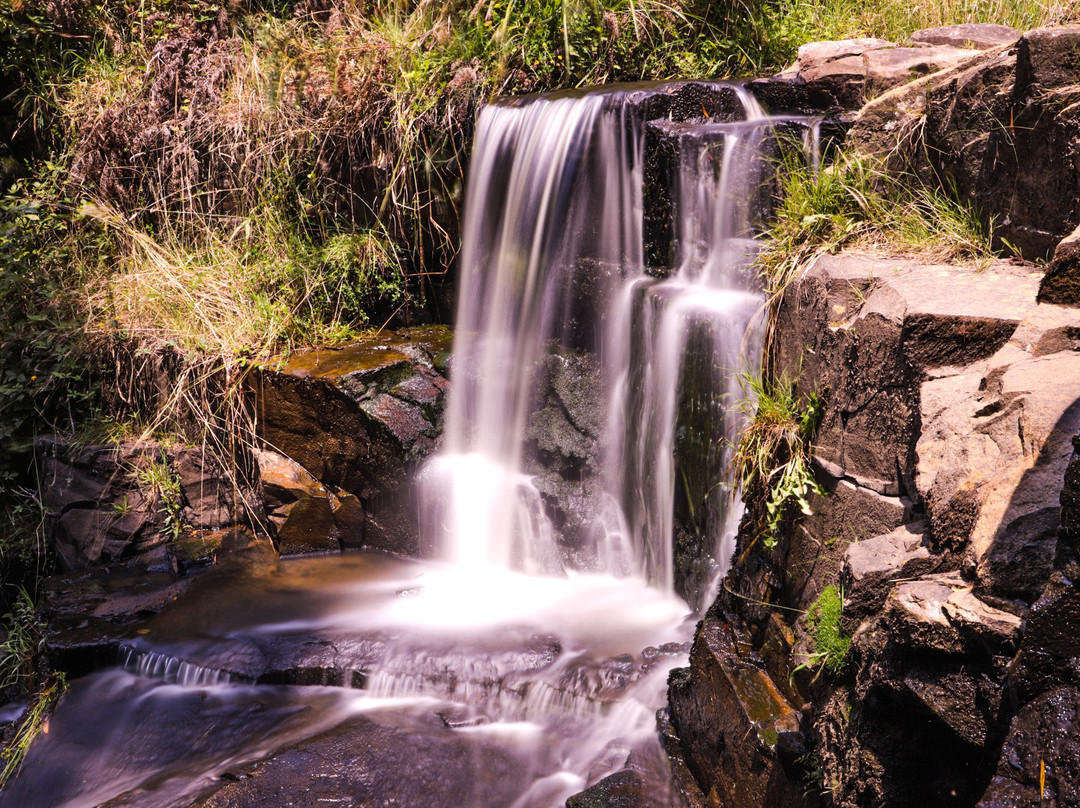 Turton Creek reserve-福斯特必去景点