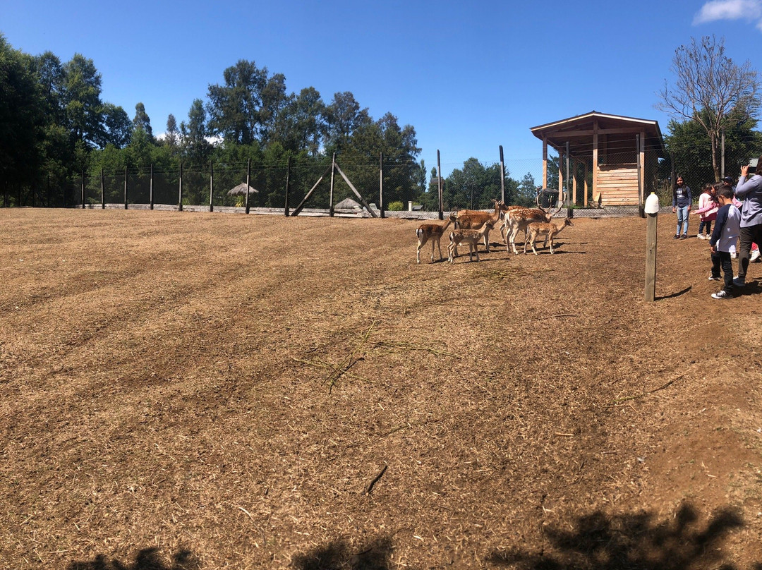 Granja Educativa de Villarrica El Dorado-比亚里卡必去景点