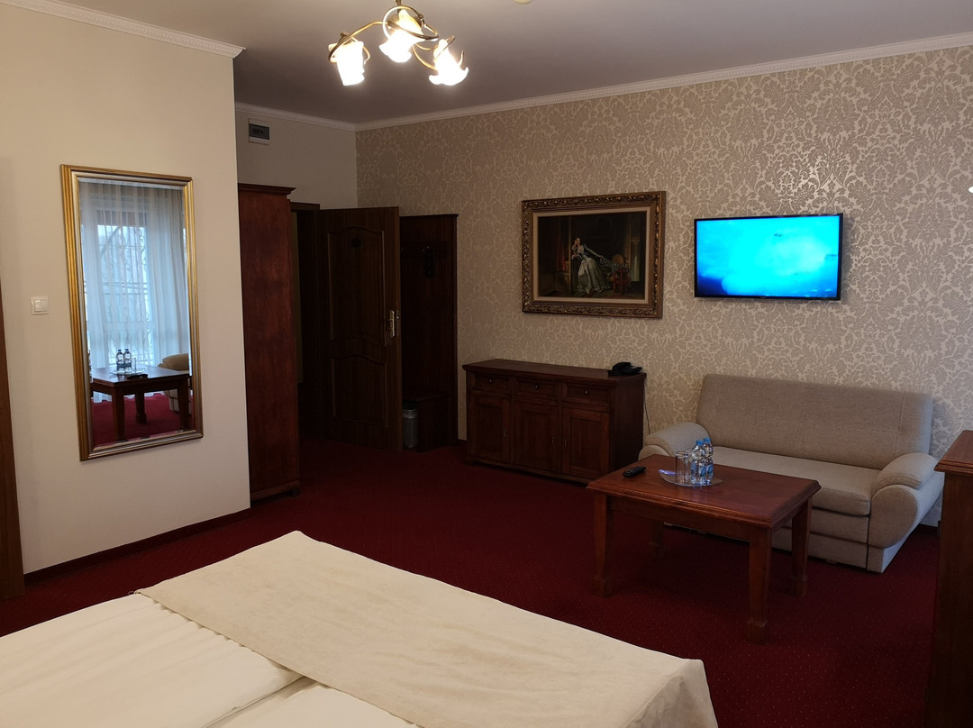 Dwor Czarneckiego Wellness & SPA主图