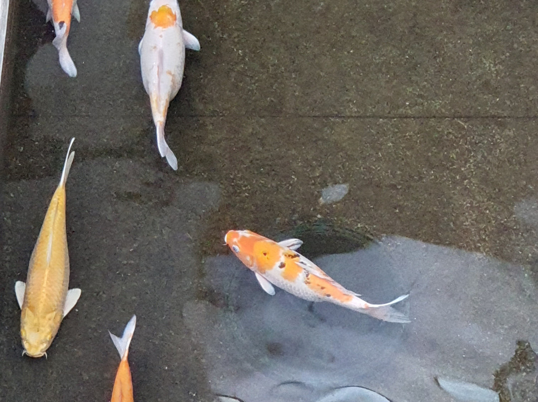 萨玛德维住宅酒店主图