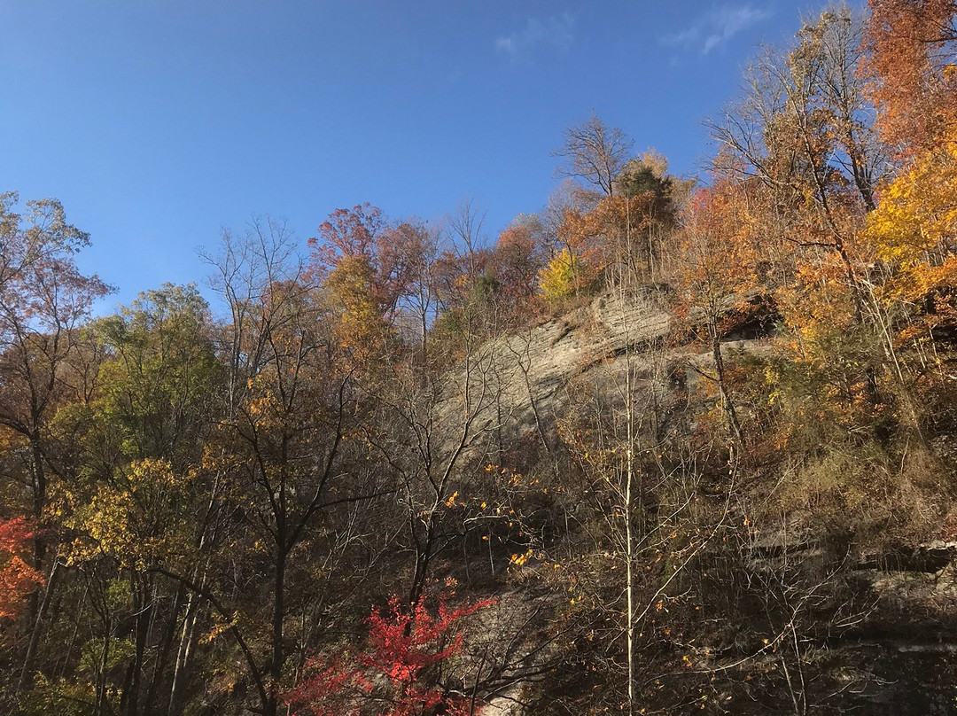 Melrose Falls-Saluda必去景点