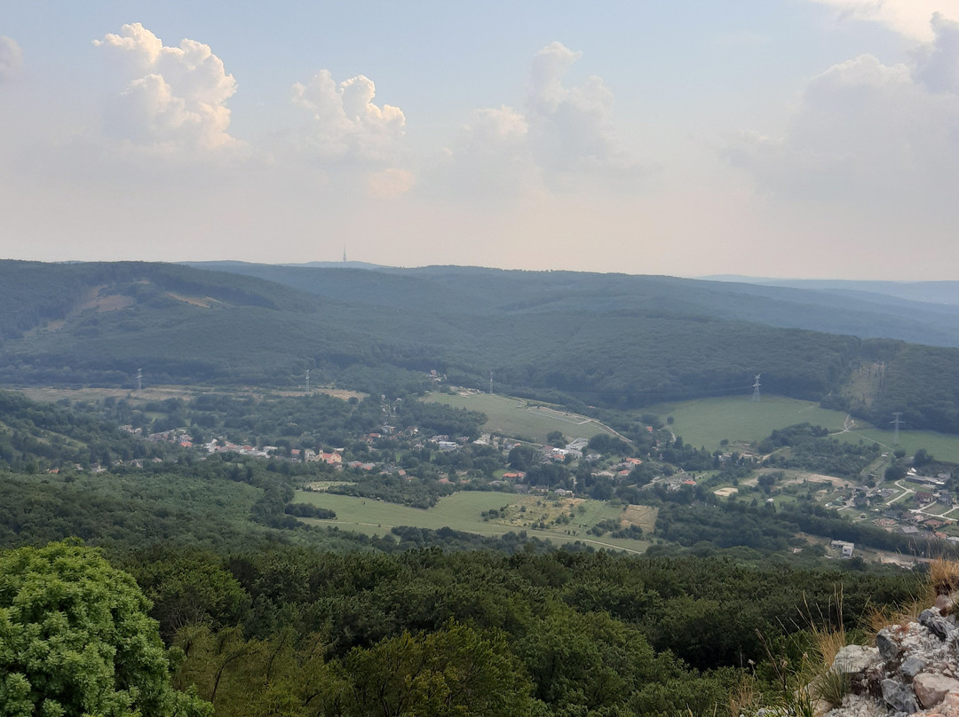 Pajstun Castle-Stupava必去景点