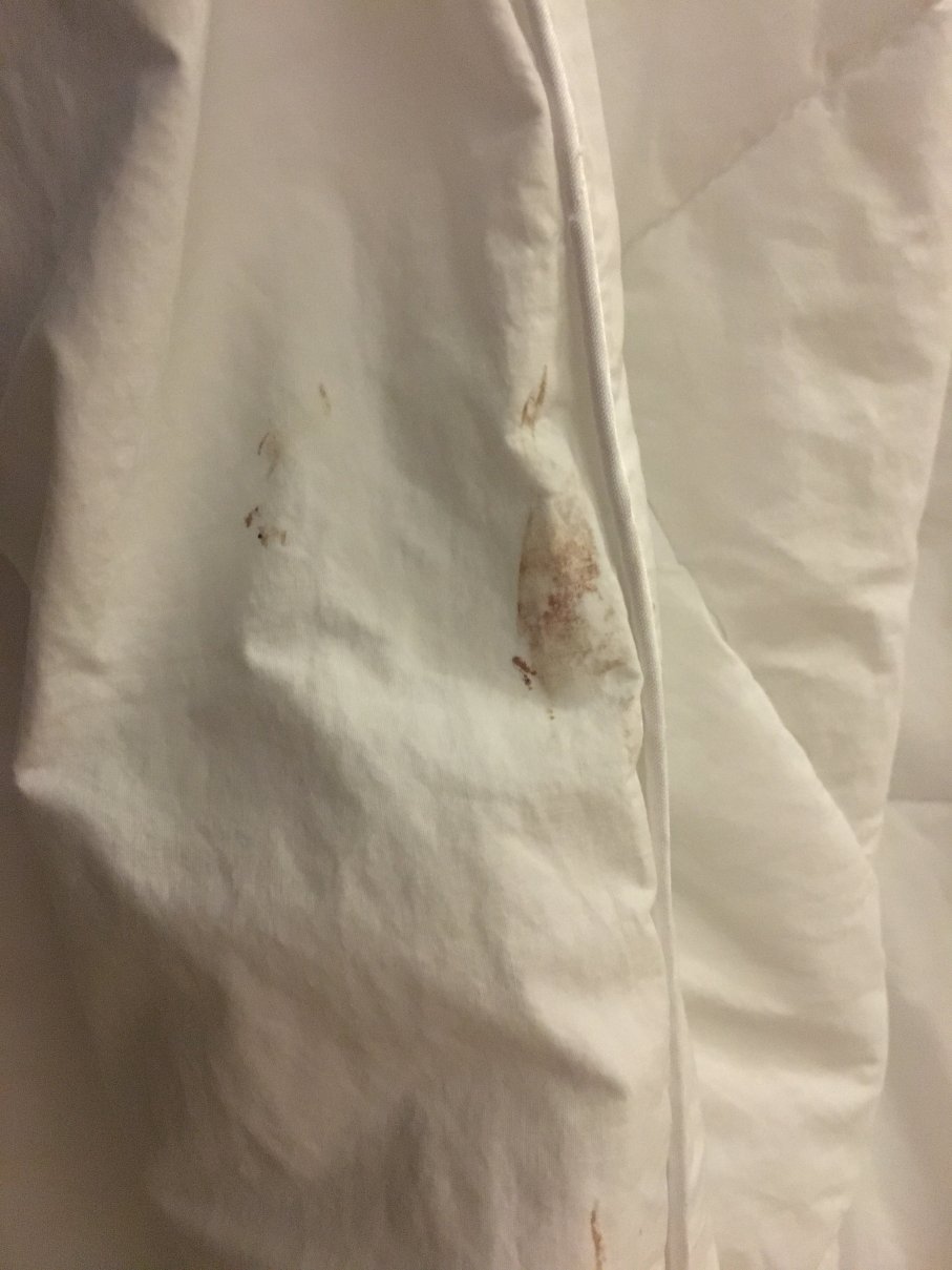 自由山度假酒店-官方