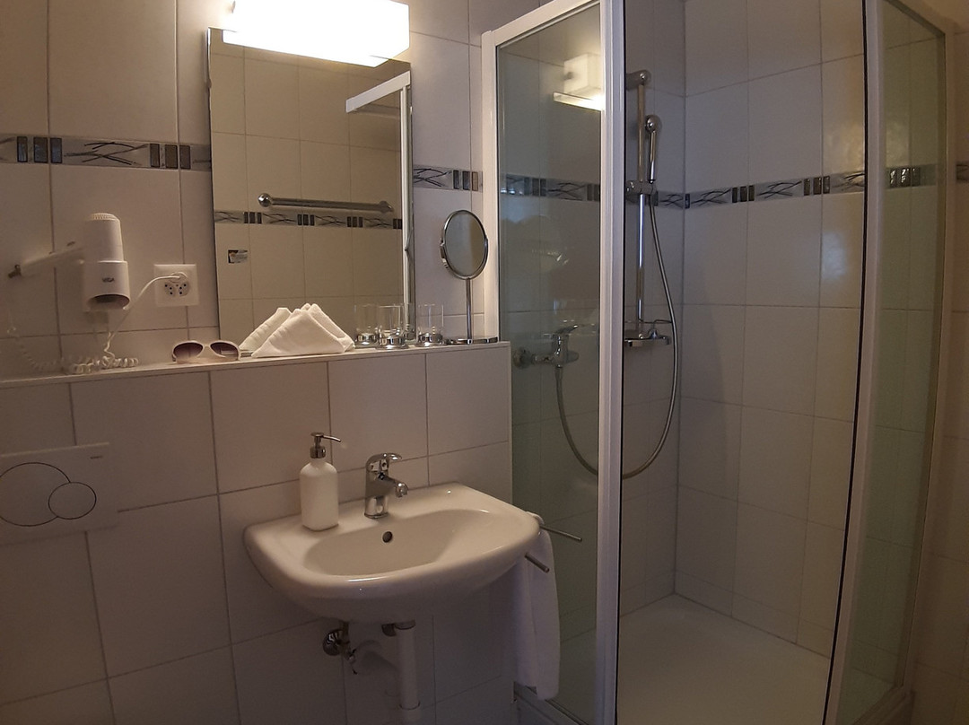 Hotel-Restaurant Ronalp主图