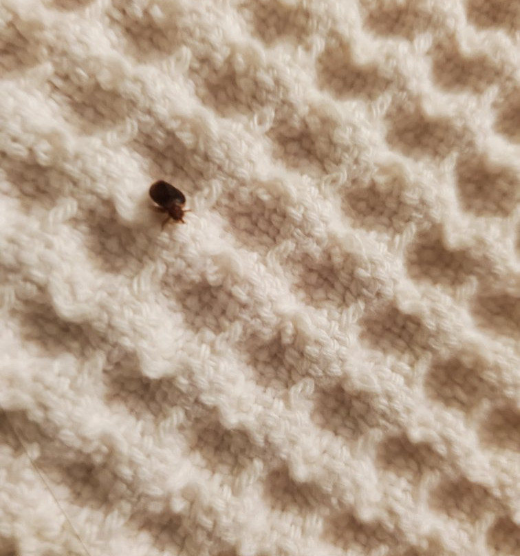 Country Inn & Suites by Radisson, Forest Lake, MN主图