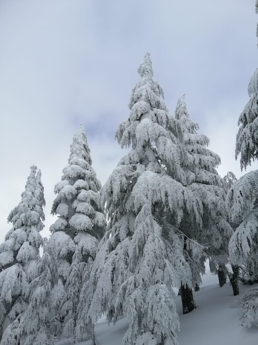 Hôtel Tidghine-portrait