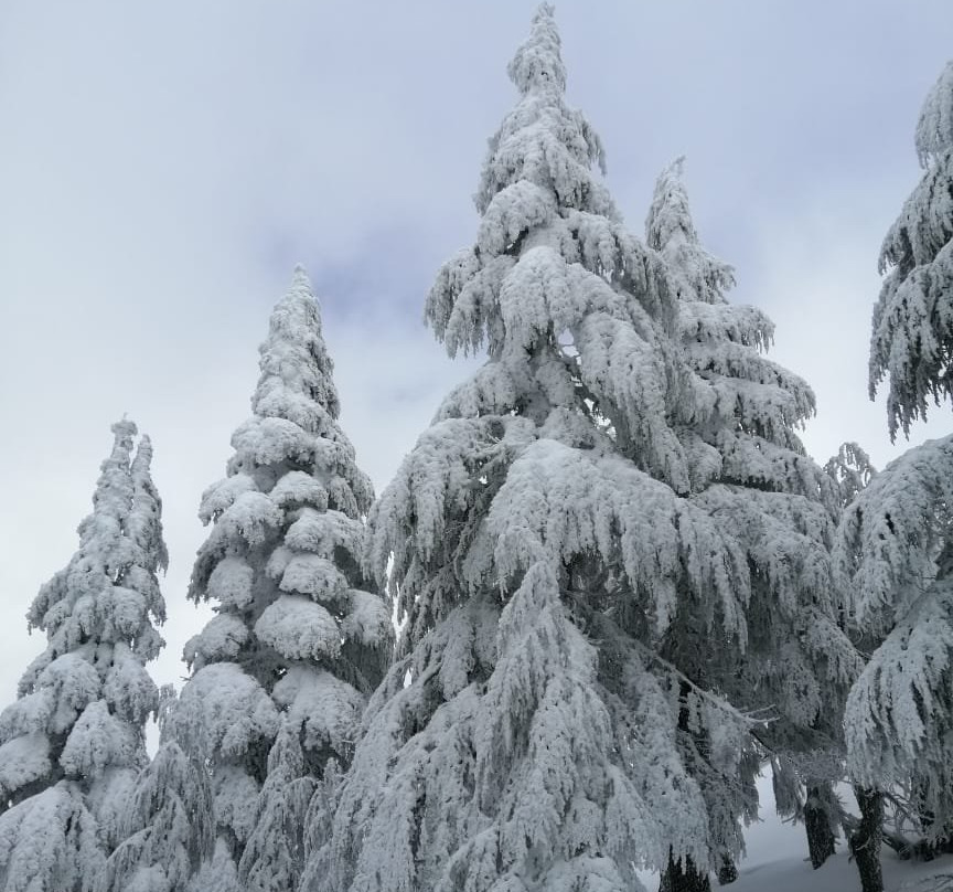 Hôtel Tidghine主图
