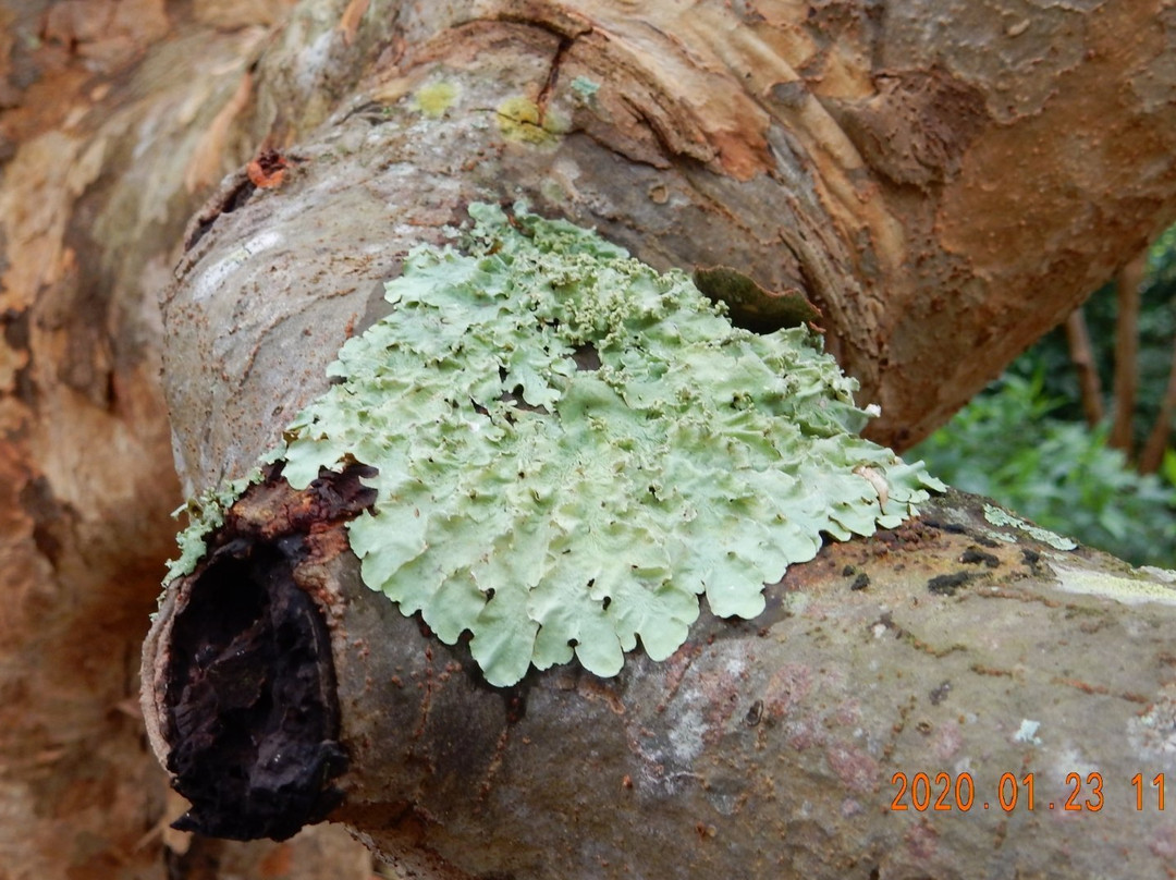 Robert J Huckshorn Arboretum-朱庇特必去景点