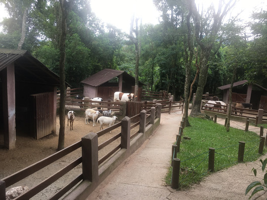 Sitiolândia-Caieiras必去景点