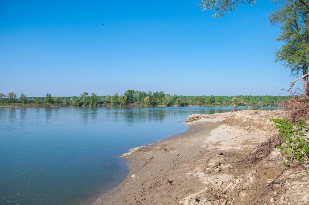 Arcadia - Bosco Multifunzionale-Bastida Pancarana必去景点