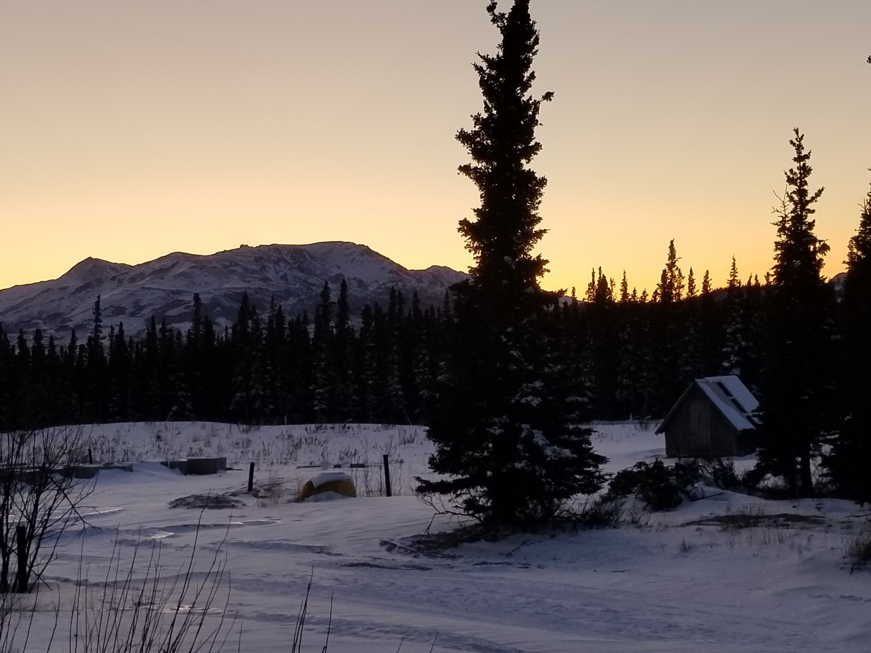 Denali Totem Inn-酒店景观