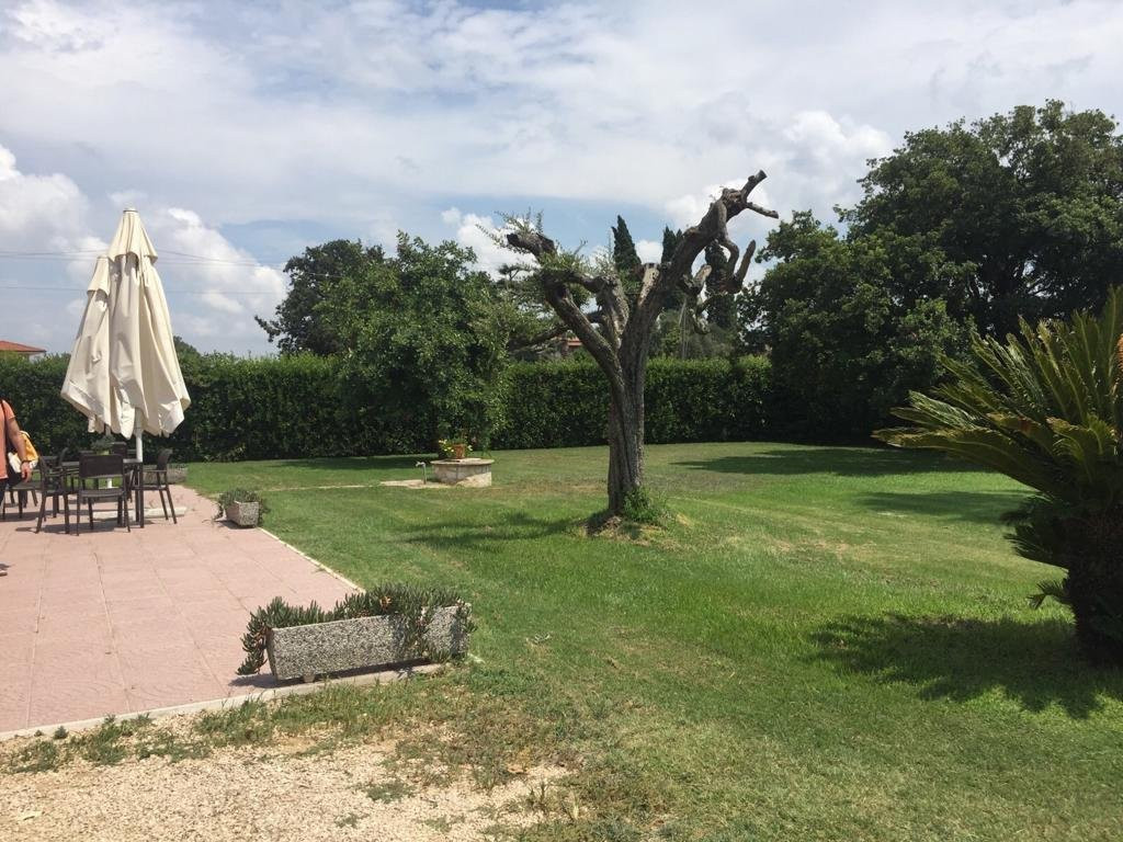 La casa del Moro主图